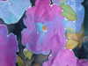 Pansy closeup